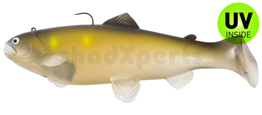 Castaic Swimbait Trout 20cm 2 Castaic Swimbait Trout 20cm - Image 2