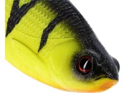 Westin Ricky The Roach Shadtail 10cm (2pcs)