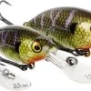 Westin BuzzBite Crankbait 5cm Suspending