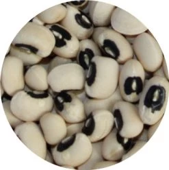 Vivani Particles 5 Kg -Fishing Gear Deals Store 468188a87edd037a