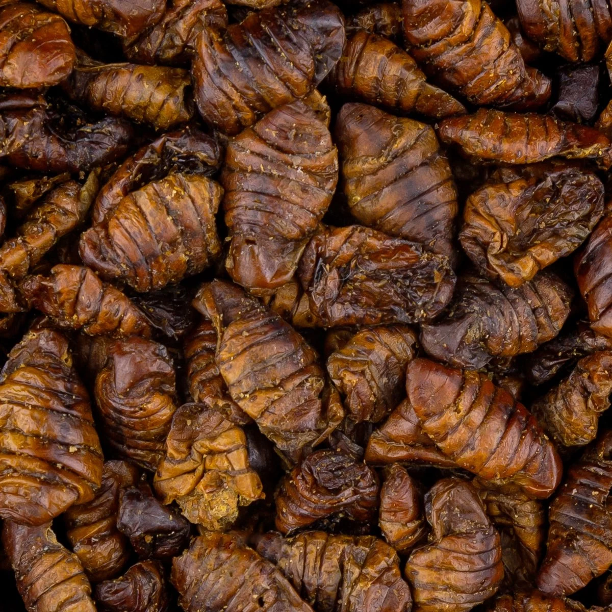 Vivani Dried Silkworms - 750 Gram 2 Vivani Dried Silkworms - 750 Gram - Image 2