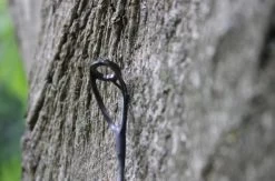 Ashima Travel FFX-S 10ft 3m 5 Ashima Travel FFX-S 10ft 3m -Fishing Gear Deals Store 4a7d69384d52c63c