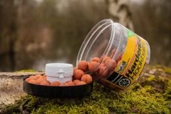 Solar Hardened Hookbaits Quench + Amino Liquid Booster (30ml)