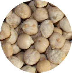 Vivani Particles 5 Kg -Fishing Gear Deals Store 579d76c8be716ad3