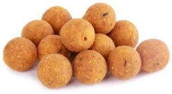 5 Kg Ready-Made Q-Boilies In 15 Or 20 Mm 6 5 Kg Ready-Made Q-Boilies In 15 Or 20 Mm -Fishing Gear Deals Store 57a4662b805728d9