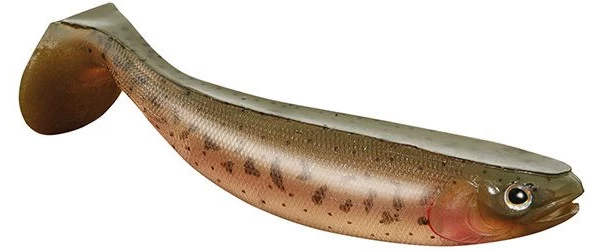 Jackson The Shad 1 Jackson The Shad