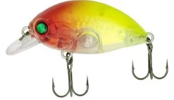 Quantum Fat Minnow SR -Fishing Gear Deals Store 8b5d95ee7ddb9296