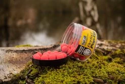 Solar Perfect Pop Ups 14mm -Fishing Gear Deals Store 9011ecfed32cb9c3