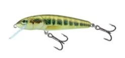 Salmo Minnow 6cm 4gr Floating 0,5-1m -Fishing Gear Deals Store b487e79fd716f615