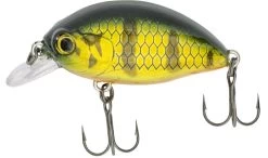 Quantum Fat Minnow SR -Fishing Gear Deals Store b5403edaccffd023
