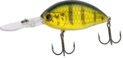 Quantum Fat Minnow DR -Fishing Gear Deals Store beff634379f0393f