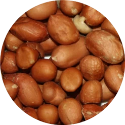 Vivani Particles 5 Kg -Fishing Gear Deals Store c35f8be384a43107