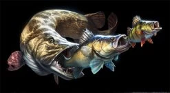 Savage Gear Cannibal T-shirt -Fishing Gear Deals Store cd9c0c7ea07202f3