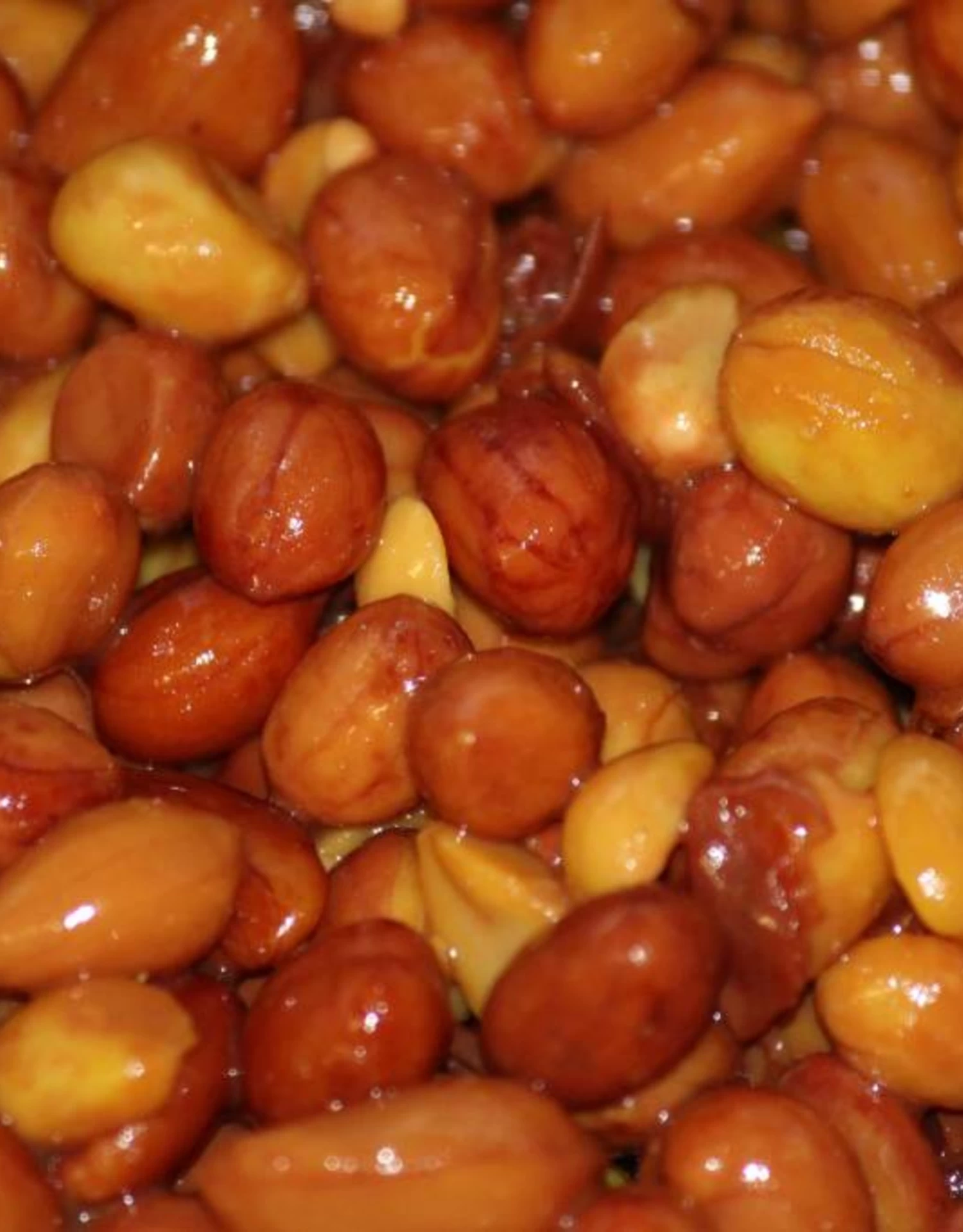 Baitworld Ready To Fish 2L (pot) Redskin Pinda's 3 Baitworld Ready To Fish 2L (pot) Redskin Pinda's - Image 3