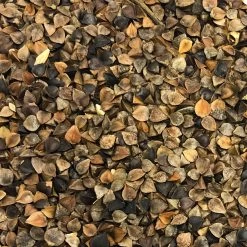 Vivani Particles 5 Kg -Fishing Gear Deals Store da80268e75ff71d1