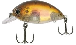 Quantum Fat Minnow SR -Fishing Gear Deals Store e0ca3bd0af977357