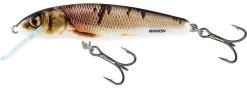 Salmo Minnow 6 Cm Floating